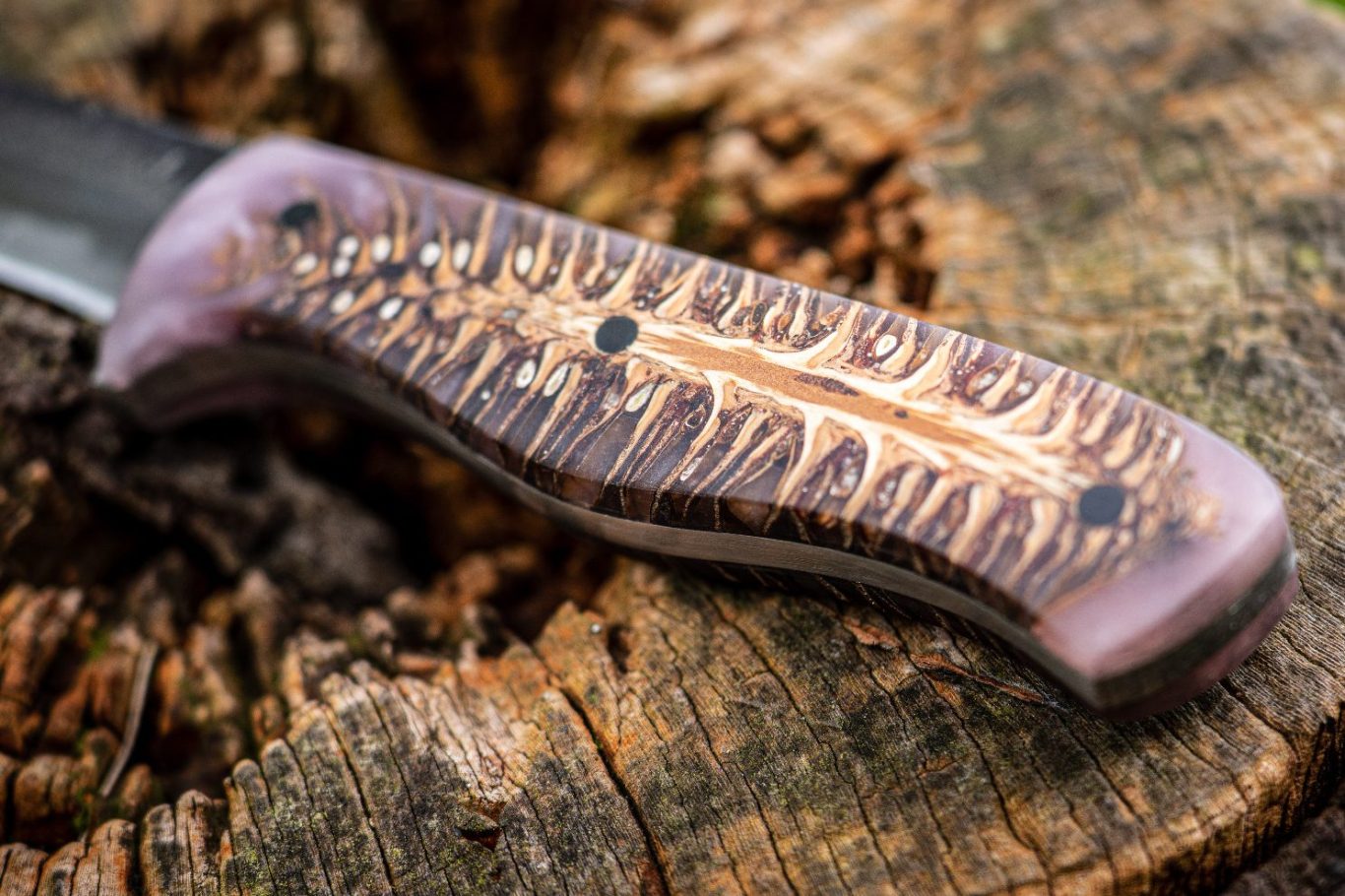 Stabilisierter Tannenzapfen Griff eines Messers mit einzigartigem Tannenzapfen Muster auf einem Baumstumpf.